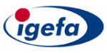 IGEFA IT – Service GmbH & Co. KG
